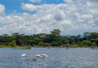 Lake Naivasha